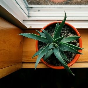 Meet your Posher, Nathanael